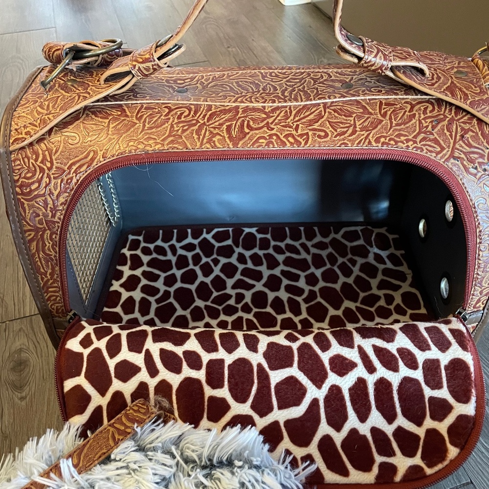 Pet Flys pet carrier